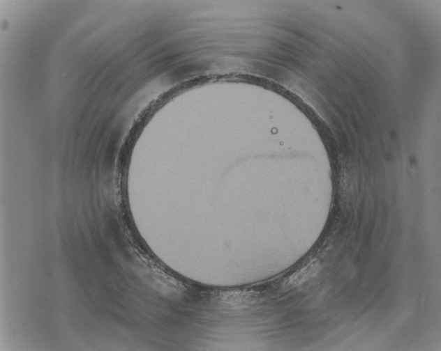 X0000075860832200609221753