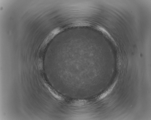 X0000075860833200609221753