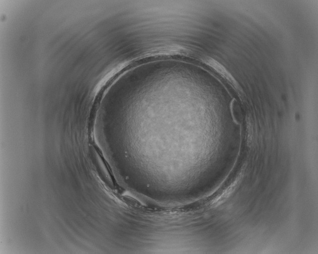 X0000075860834200609221753