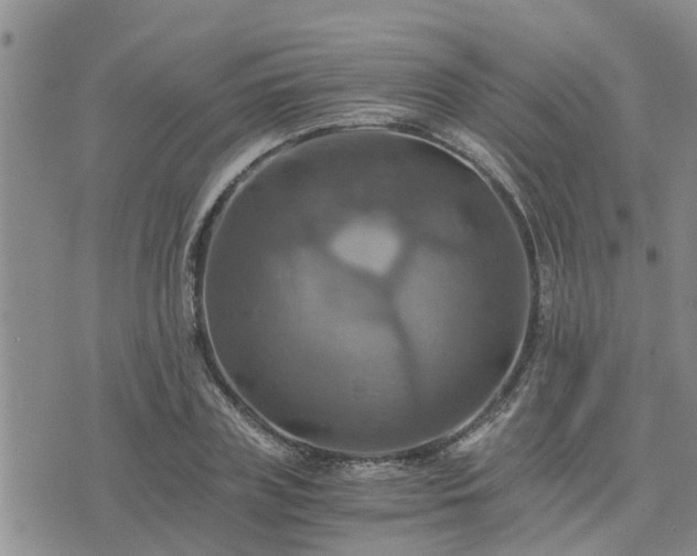 X0000075860835200609221753