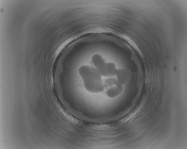 X0000075860837200609221753