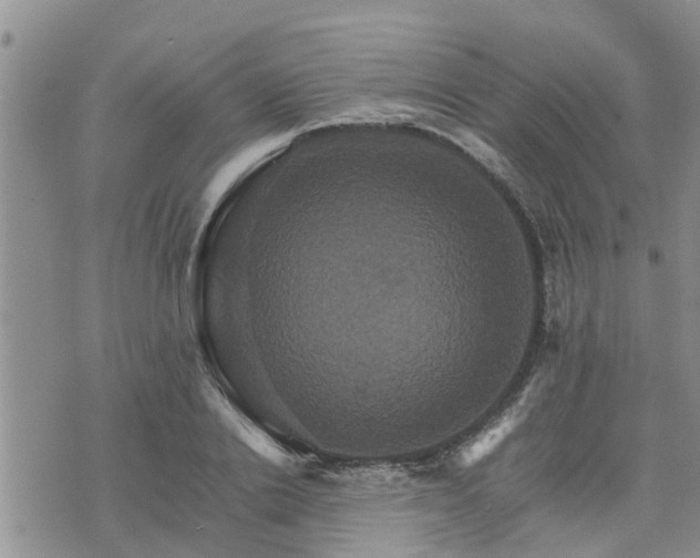 X0000075860838200609221753