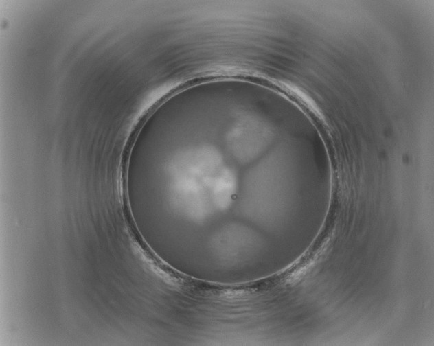 X0000075860839200609221753