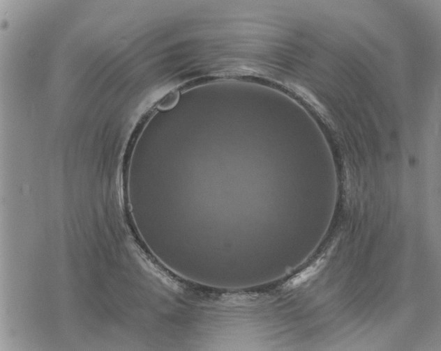 X0000075860840200609221753