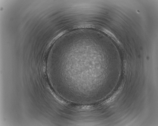 X0000075860841200609221753