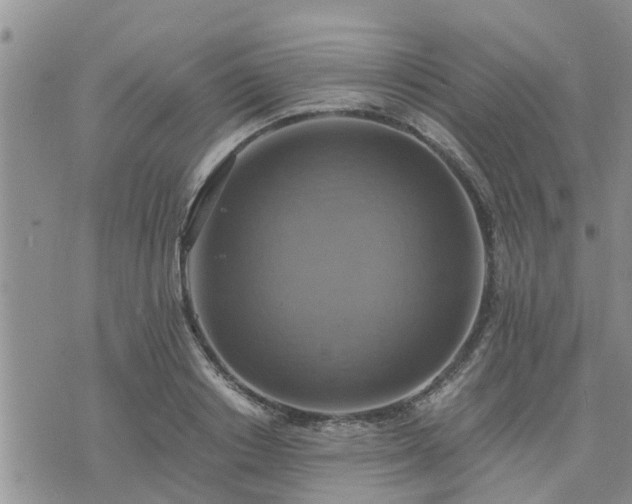 X0000075860842200609221753