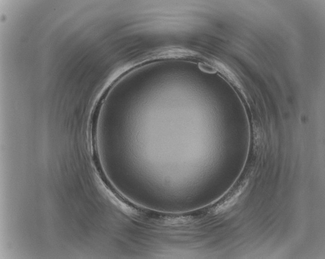 X0000075860843200609221753