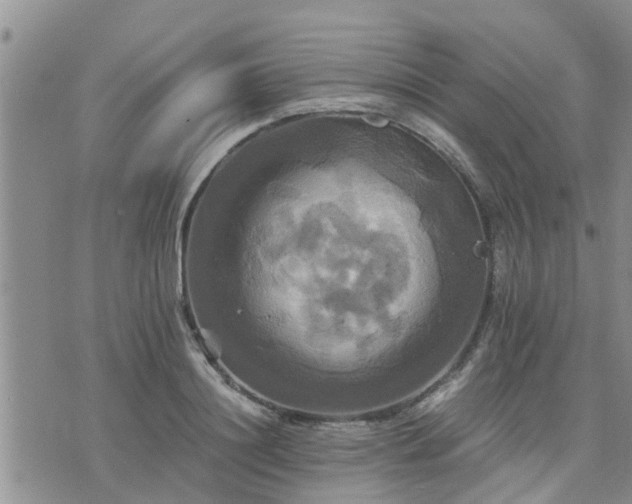 X0000075860844200609221753