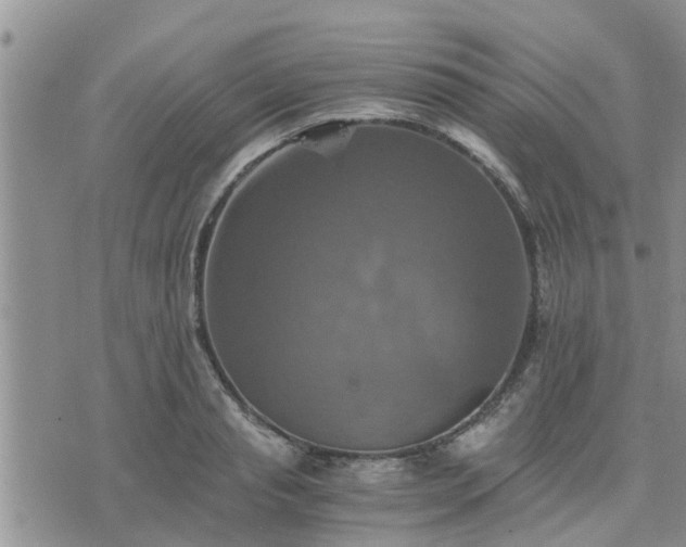 X0000075860845200609221753