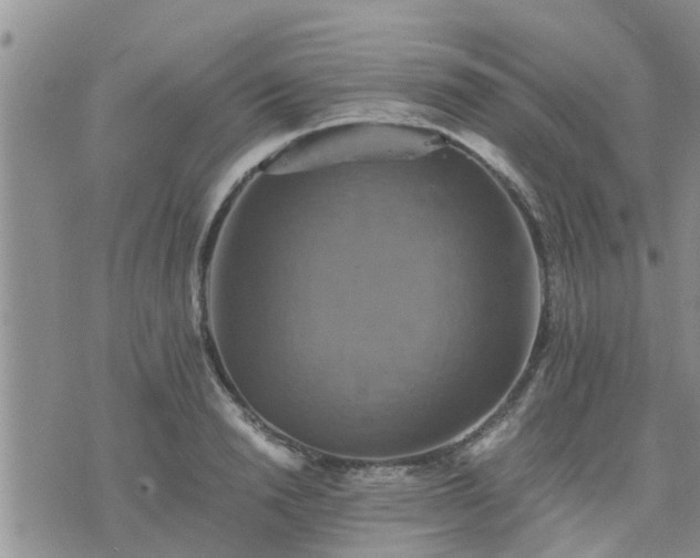 X0000075860846200609221753