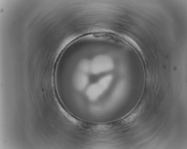 X0000075860847200609221753