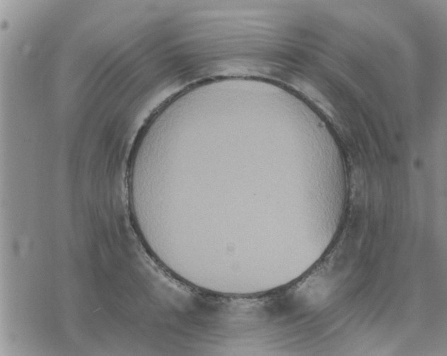 X0000075860848200609221753