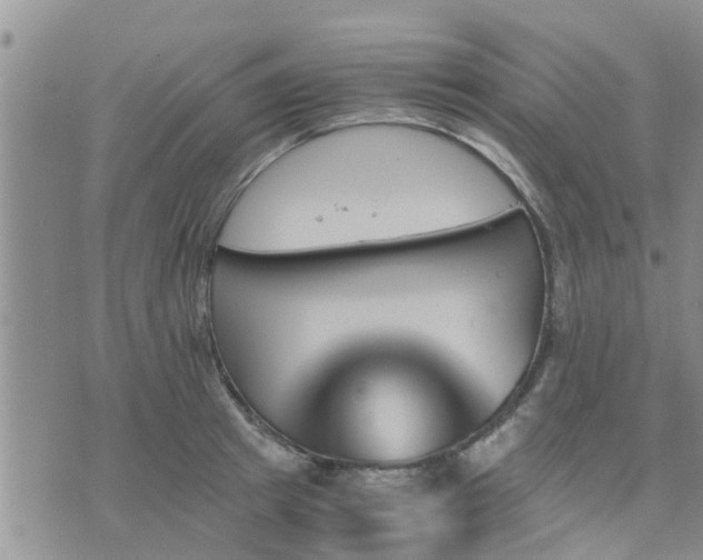 X0000075860849200609221753