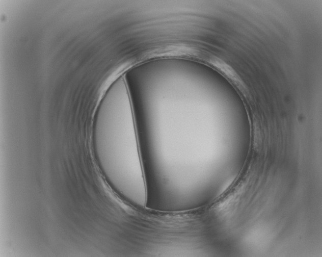 X0000075860850200609221754