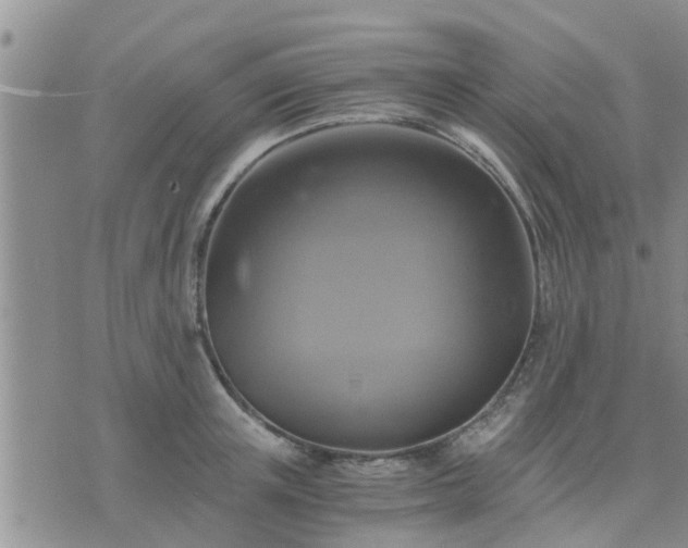 X0000075860851200609221754