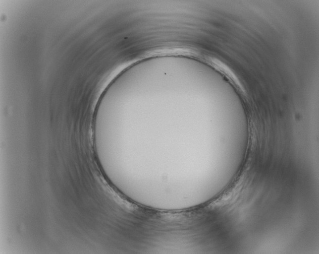 X0000075860852200609221754