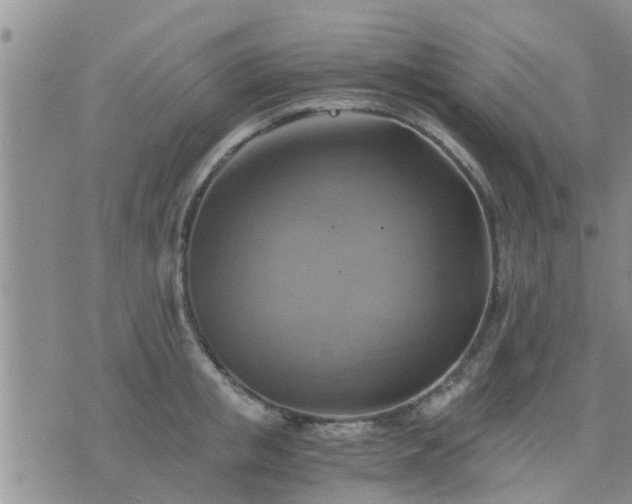 X0000075860853200609221754