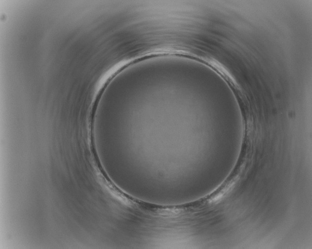 X0000075860854200609221754