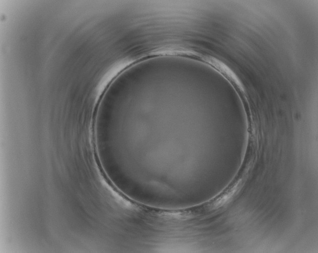 X0000075860855200609221754