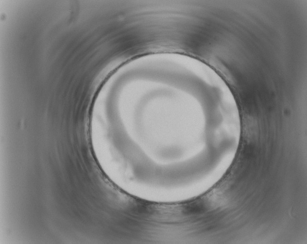 X0000075860856200609221754