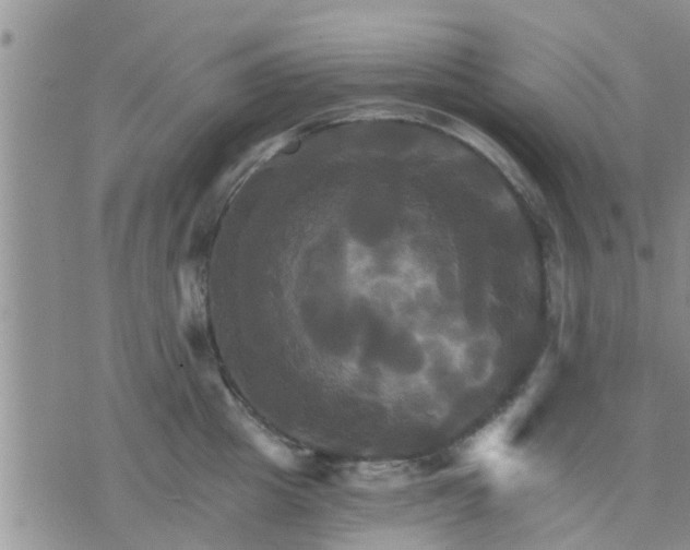 X0000075860857200609221754