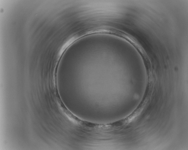 X0000075860858200609221754