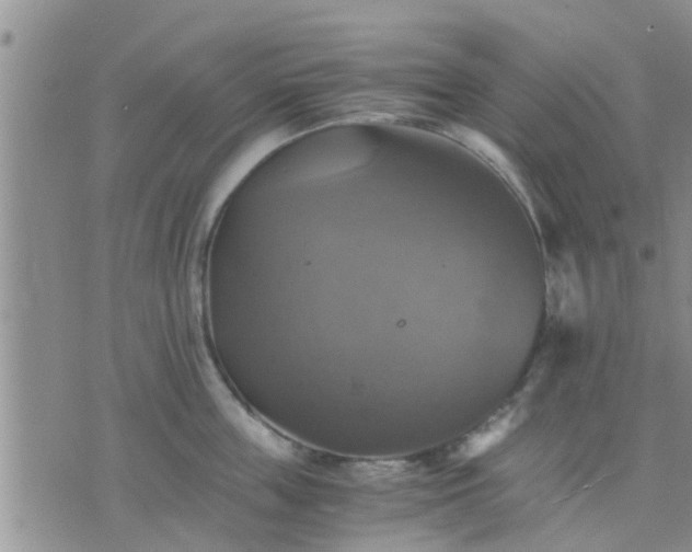 X0000075860859200609221754