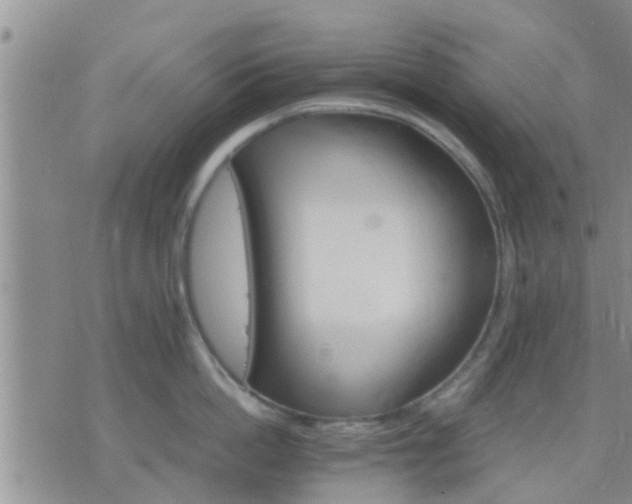 X0000075860862200609221754