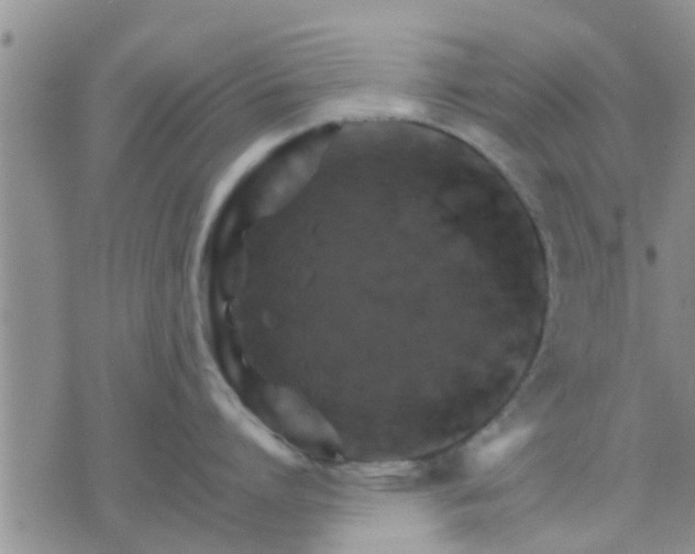 X0000075860864200609221754