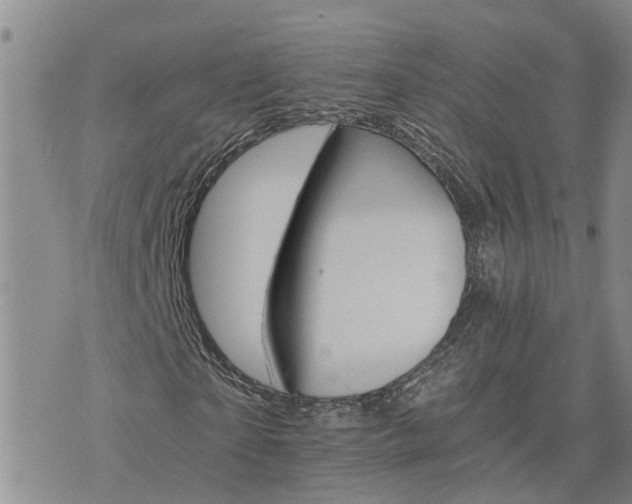 X0000075860865200609221753