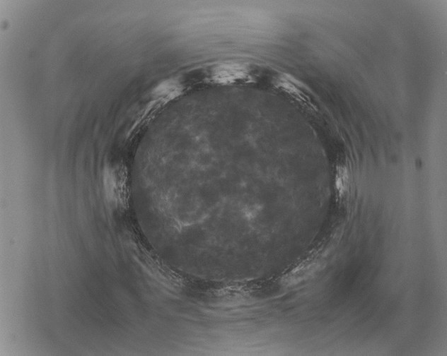 X0000075860867200609221753