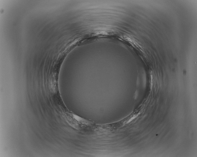 X0000075860868200609221753