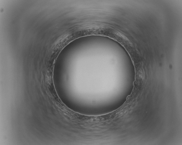 X0000075860869200609221753