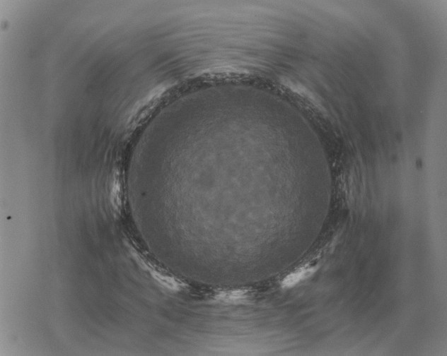 X0000075860870200609221753