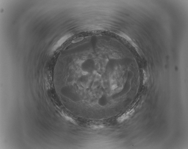 X0000075860871200609221753