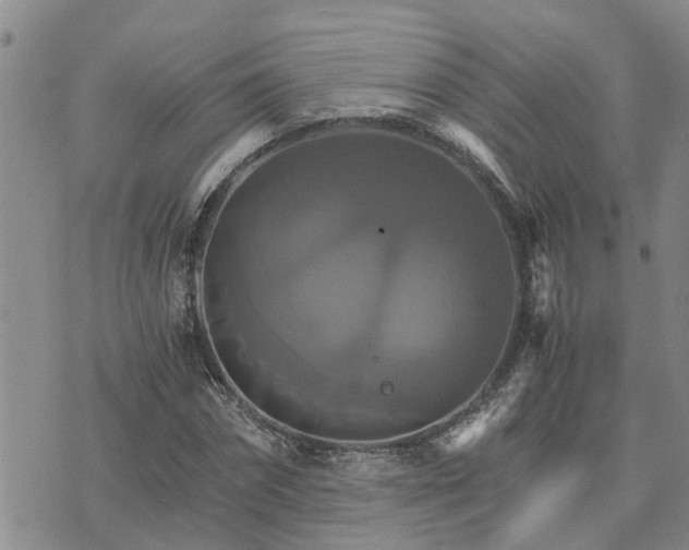 X0000075860874200609221753