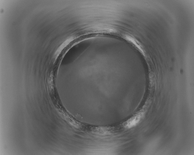 X0000075860875200609221753