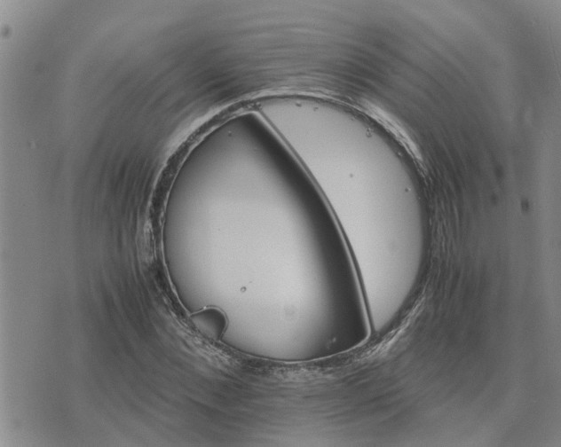 X0000075860876200609221753