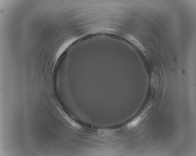 X0000075860877200609221753