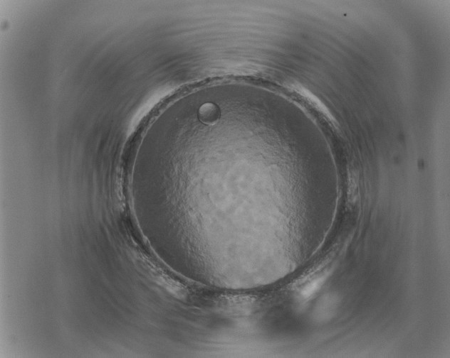 X0000075860878200609221753