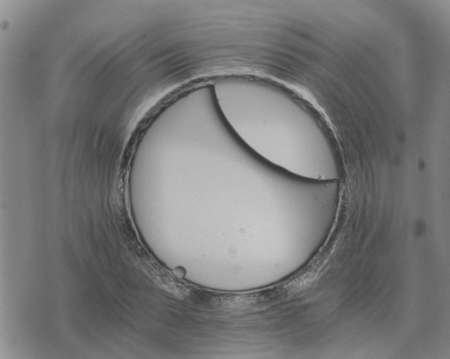 X0000075860879200609221753