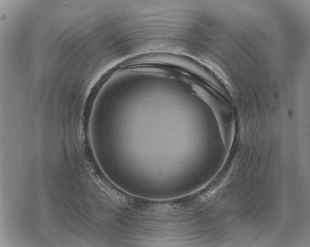 X0000075860880200609221753