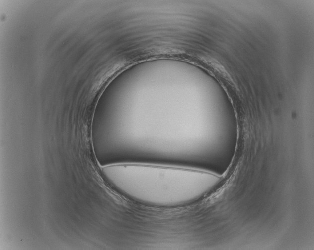 X0000075860881200609221753