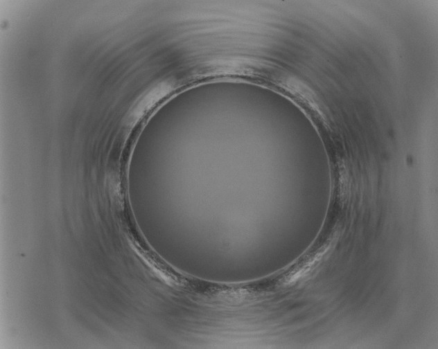 X0000075860882200609221753