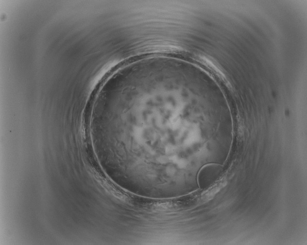 X0000075860883200609221753