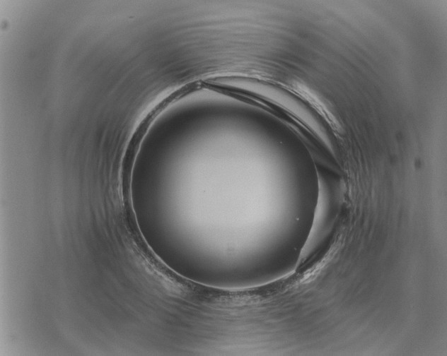 X0000075860884200609221753