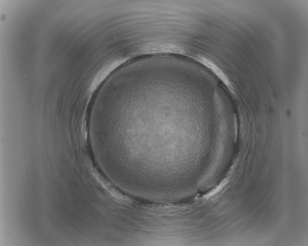 X0000075860885200609221753