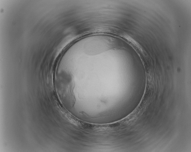 X0000075860886200609221753