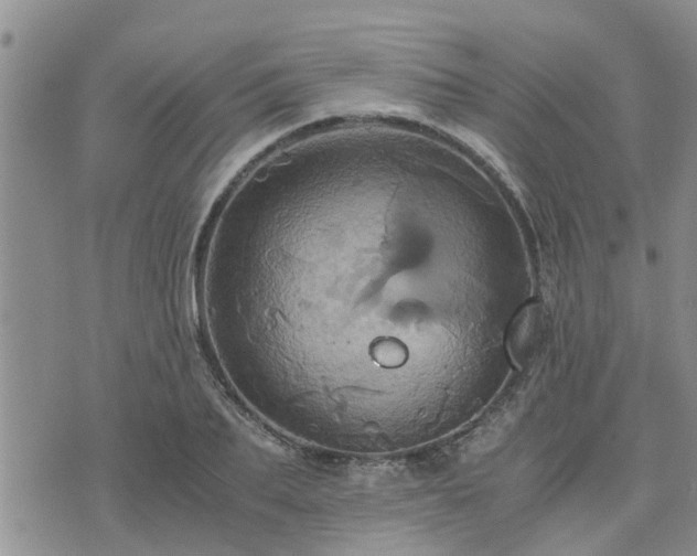 X0000075860887200609221753