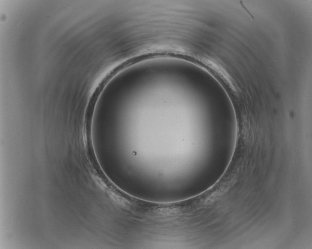 X0000075860888200609221753